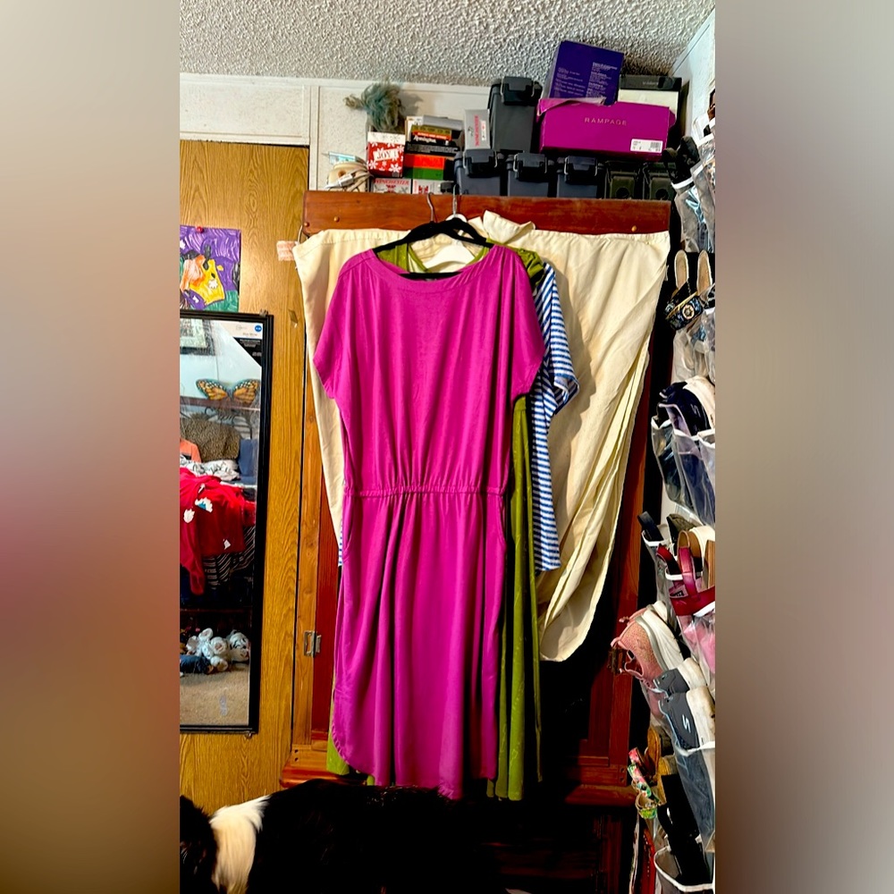 Lularoe dress….cannot remember name of dress. Have pets in home.